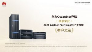 華為獨(dú)家榮獲2024年Gartner Peer Insights™主存儲全球“客戶之選”